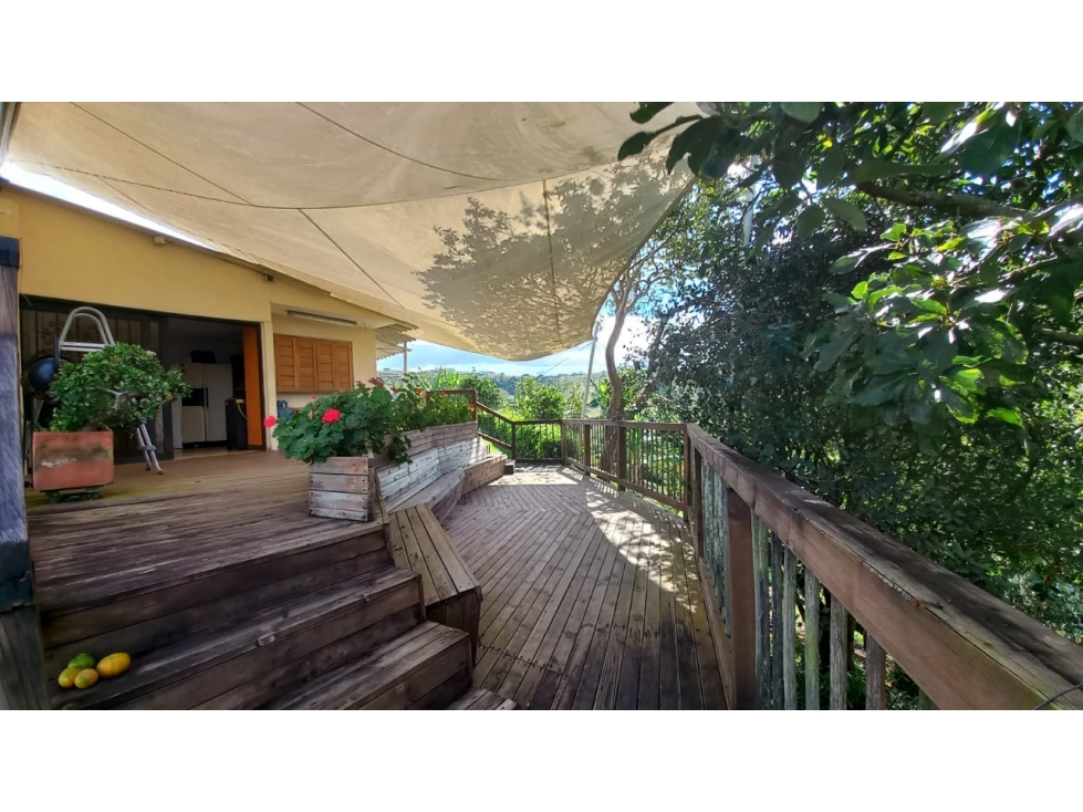 Venta de finca aguacatera en Marinilla Antioquia — foto 6