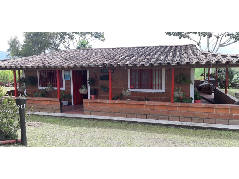 Venta de finca en Marinilla Antioquia — foto 3