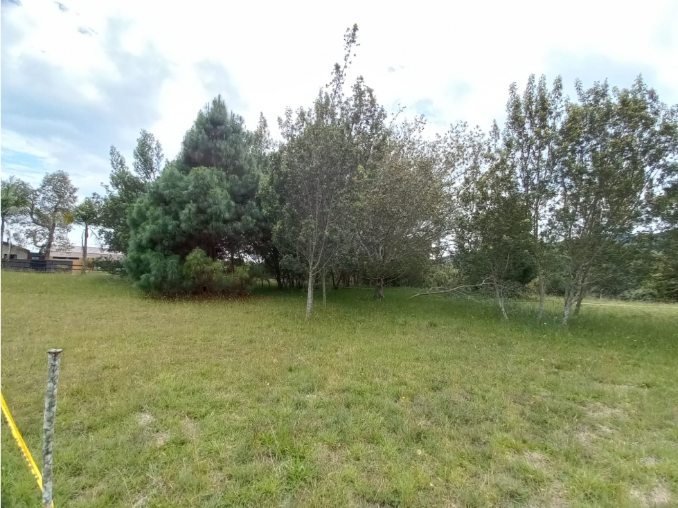 Venta de lotes en Las Palmas Antioquia — foto 3