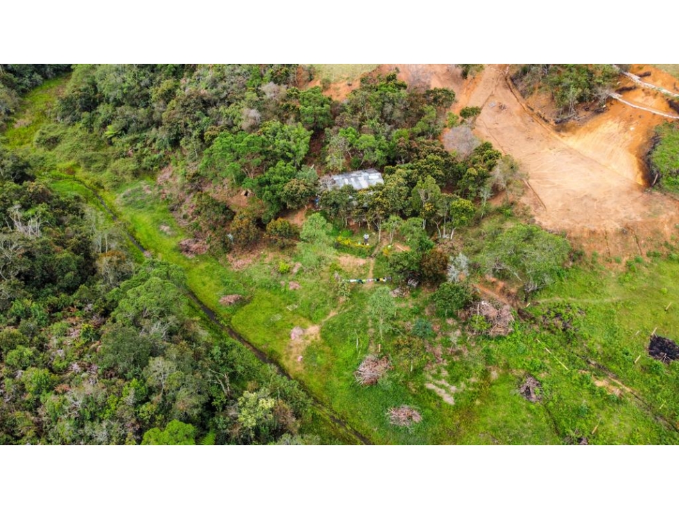 Venta de lote en Rionegro Antioquia