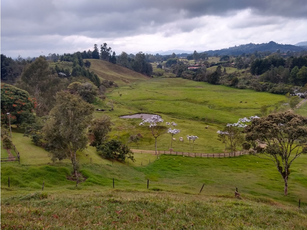 Venta de finca cerca al aeropuerto José Maria Córdova — foto 2