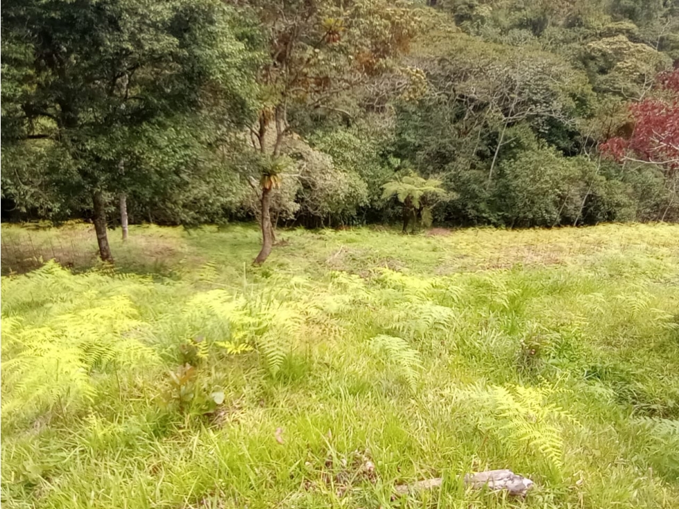Venta de lote en Guatapé Antioquia — foto 3