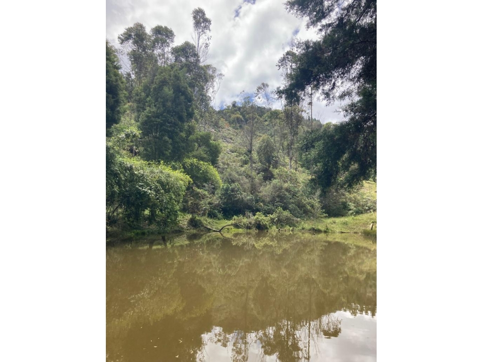 Venta de lote en Guarne Antioquia — foto 5