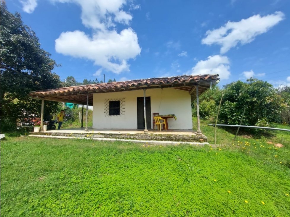 Venta de finca aguacatera en Marinilla Antioquia — foto 6