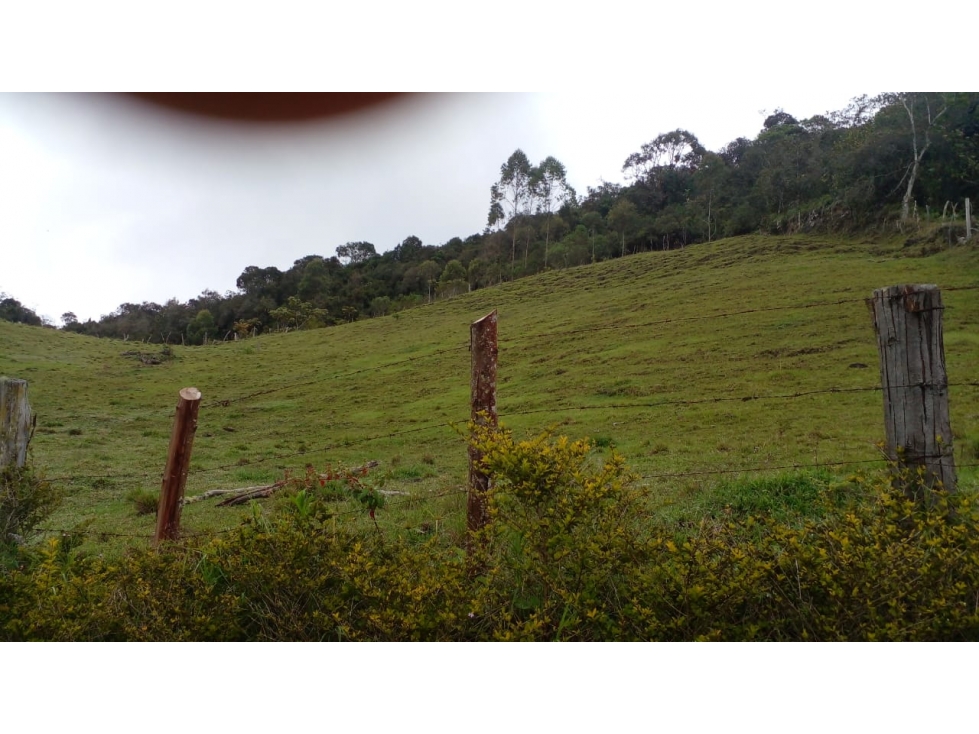 Venta de casa finca en san vicente ferrer — foto 3