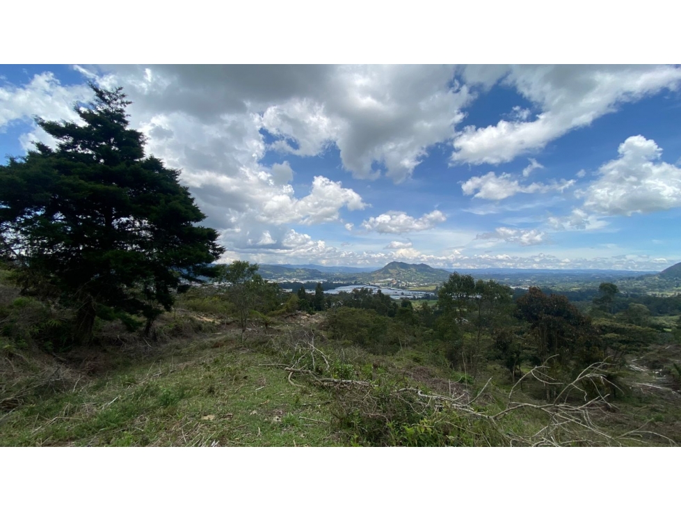 Venta de lote en la Ceja sobre la vía la Ceja la Unión — foto 3
