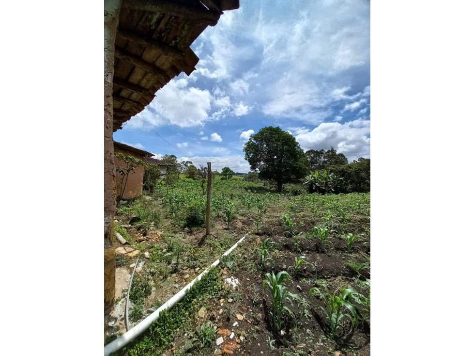 Venta de casa finca en El Carmen Antioquia — foto 4
