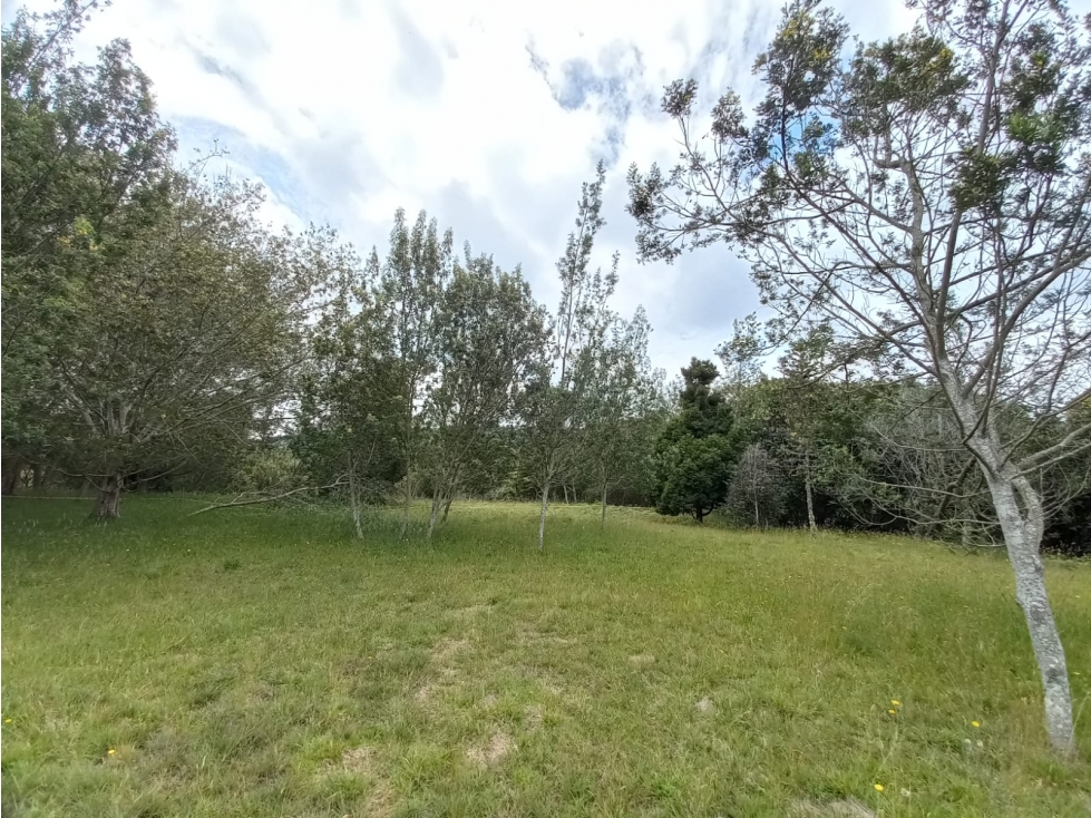 Venta de lotes en Las Palmas Antioquia — foto 4