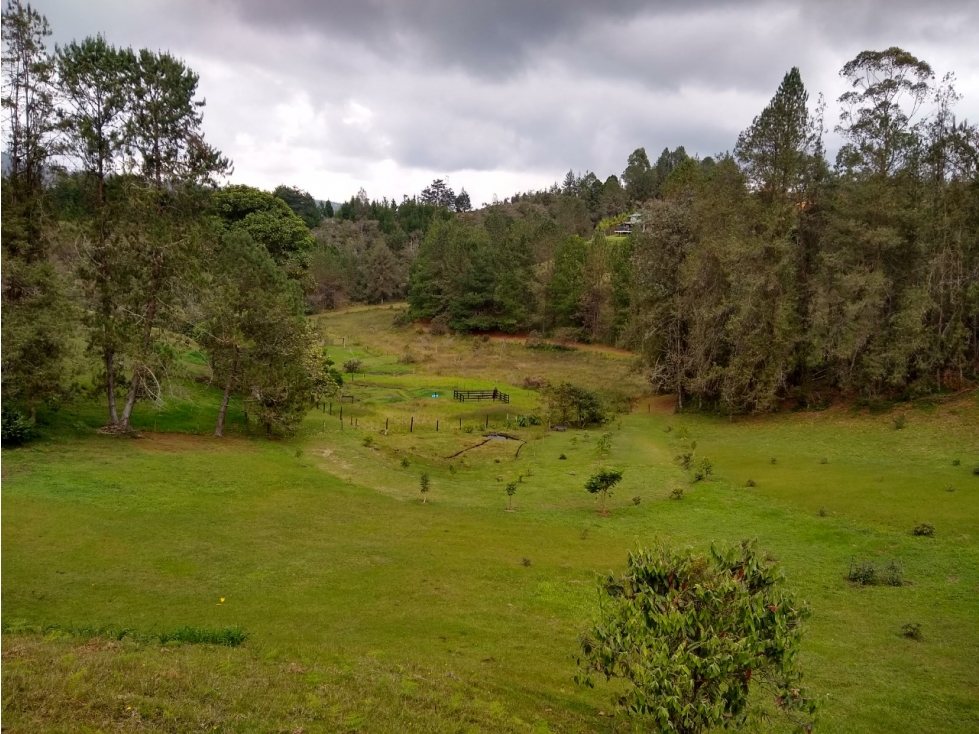 Venta de finca cerca al aeropuerto José Maria Córdova — foto 3