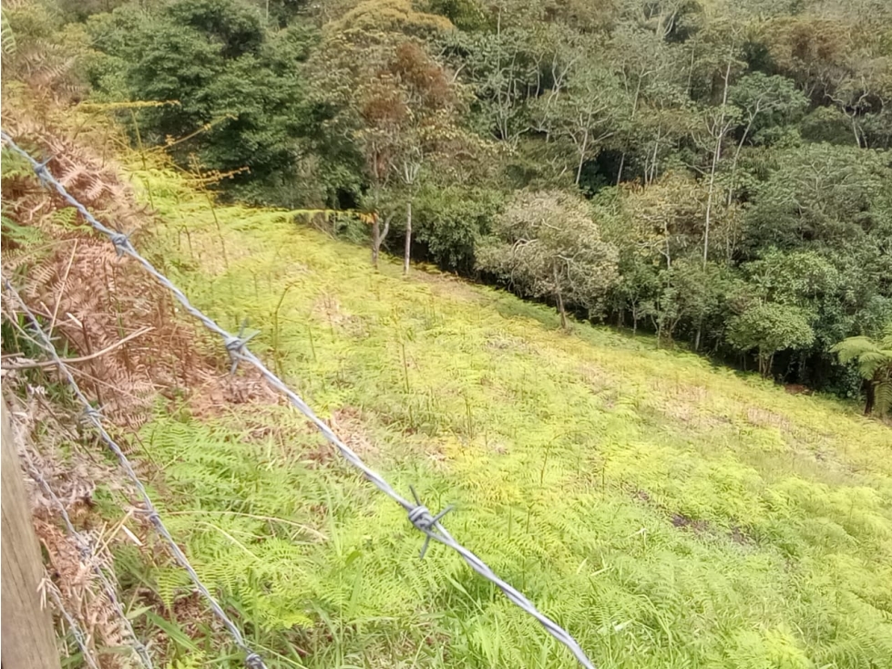 Venta de lote en Guatapé Antioquia — foto 5