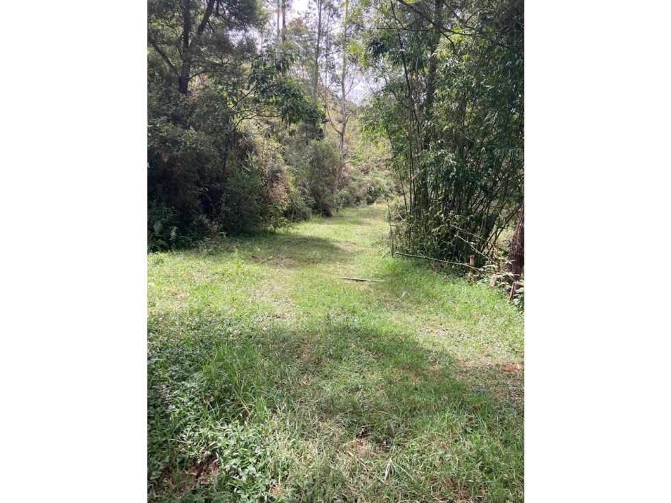 Venta de lote en Guarne Antioquia — foto 2