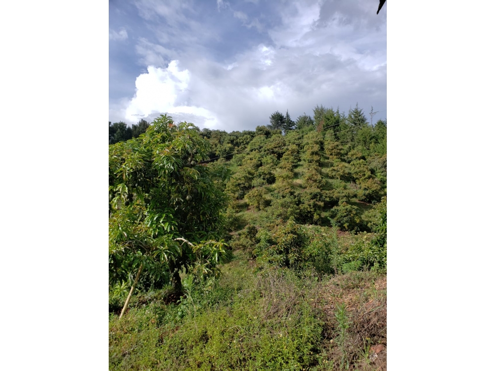 Venta de finca en Marinilla Antioquia — foto 5