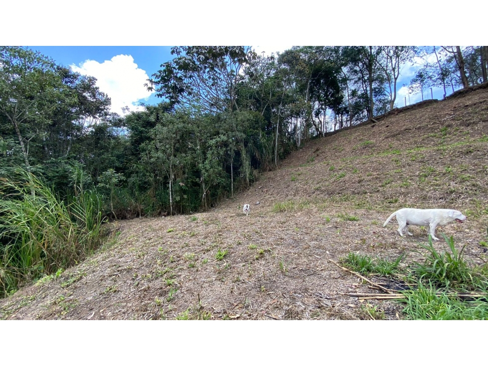Venta de lote en Guarne Antioquia — foto 4