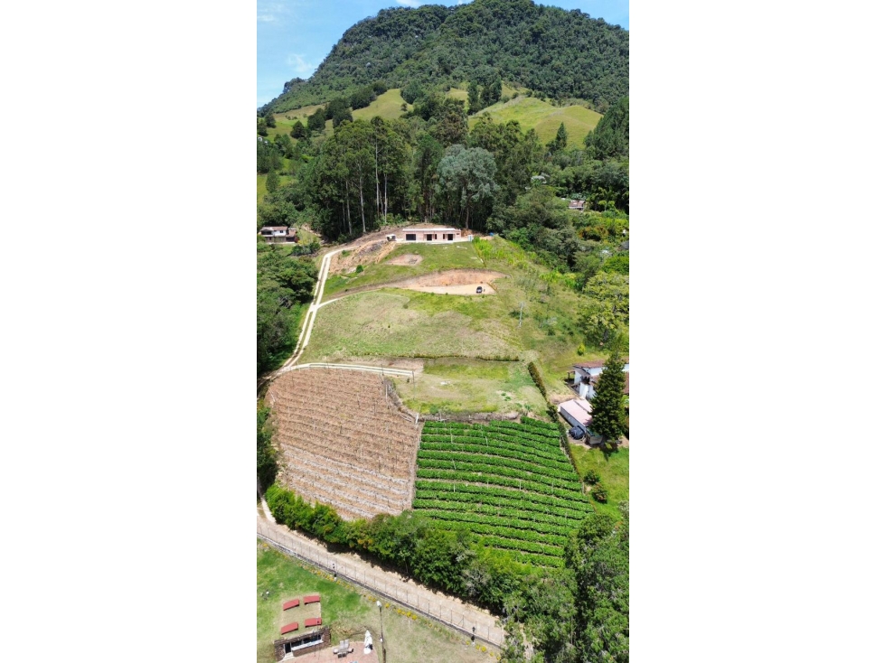 Venta de lote Via La Ceja La Union — foto 4