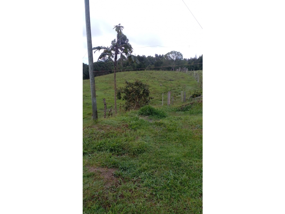 Venta de casa finca en san vicente ferrer — foto 4