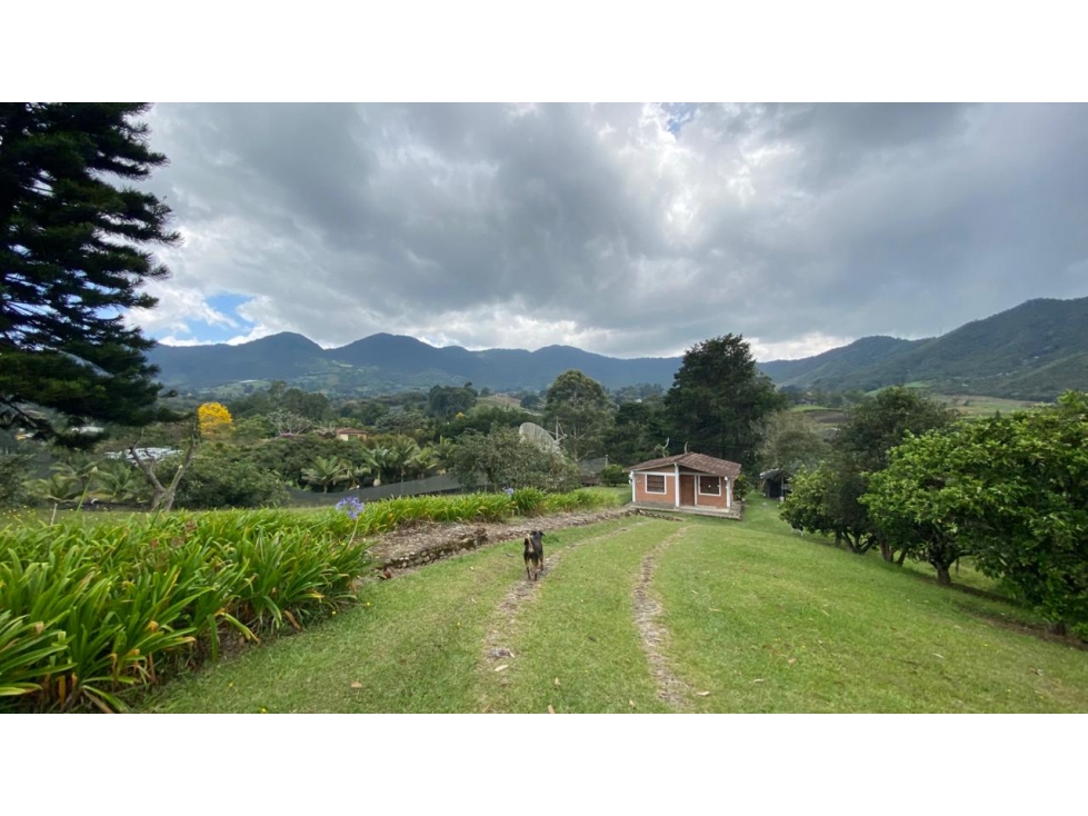 Venta de lote en el Carmen de Viboral sector aguas claras — foto 5