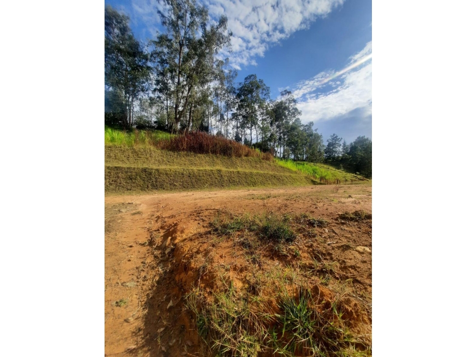 Venta de lote en San Vicente Ferrer — foto 4