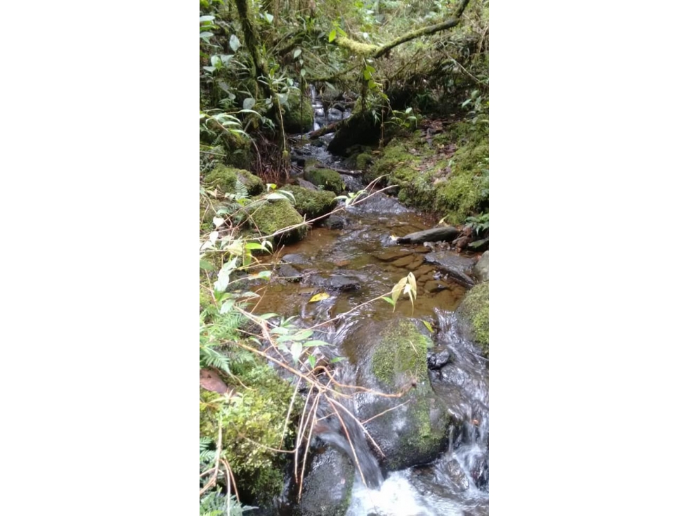 Venta de lote en El Carmen Antioquia