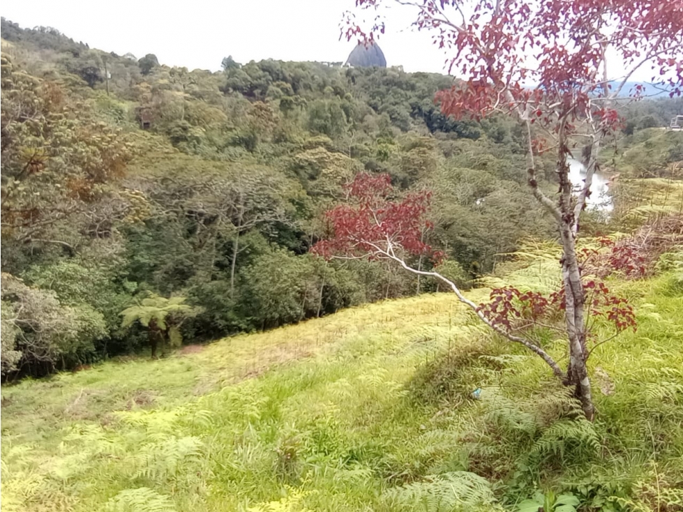 Venta de lote en Guatapé Antioquia — foto 2