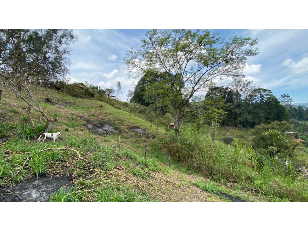 Venta de lote en Guarne Antioquia — foto 5