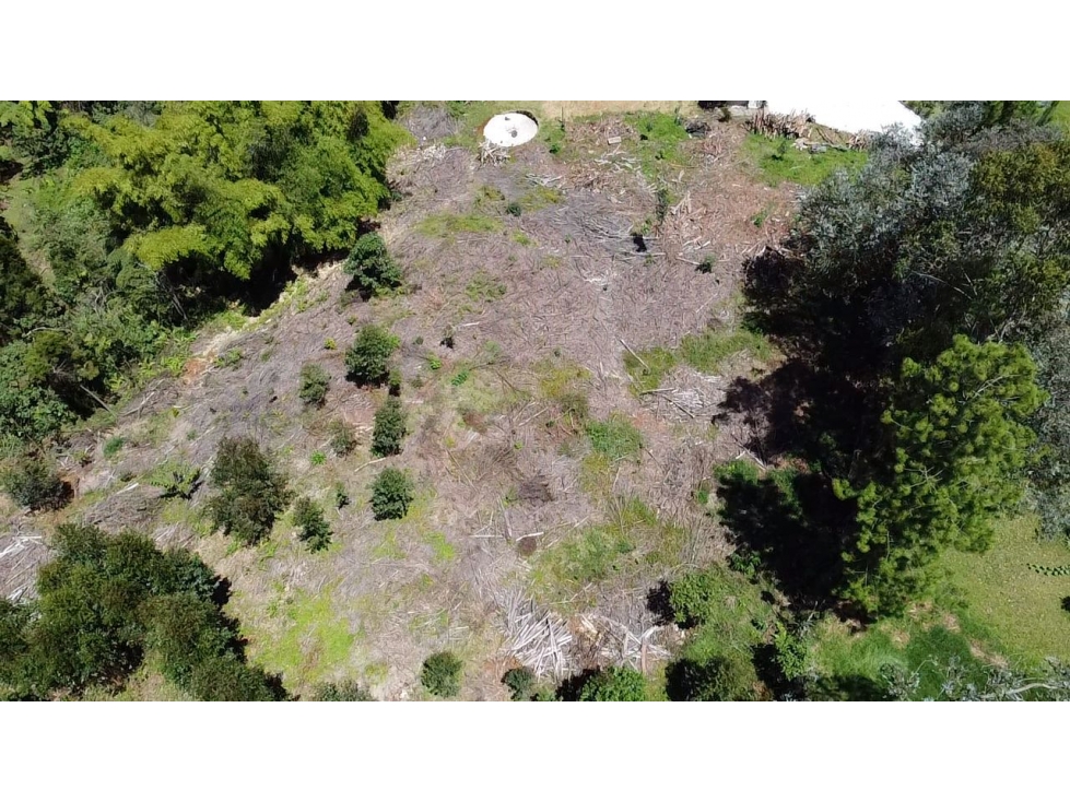 Venta de lote en Guarne Antioquia — foto 5
