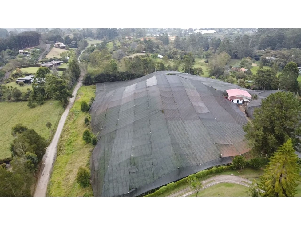 Venta de lote en el Carmen de Viboral sector aguas claras — foto 6