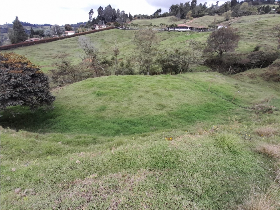 Venta de lotes en Guarne Antioquia