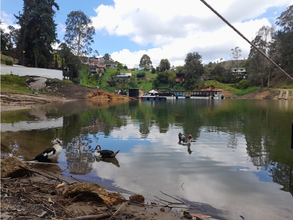 Venta de lote en Guatapé Antioquia — foto 4