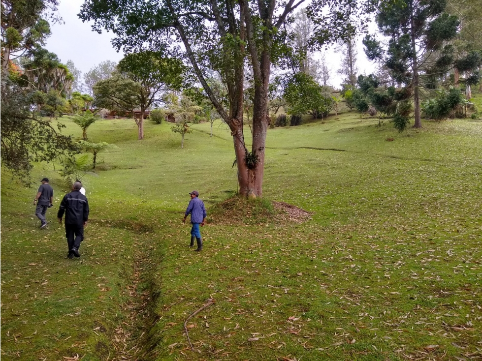 Venta de finca cerca al aeropuerto José Maria Córdova — foto 5