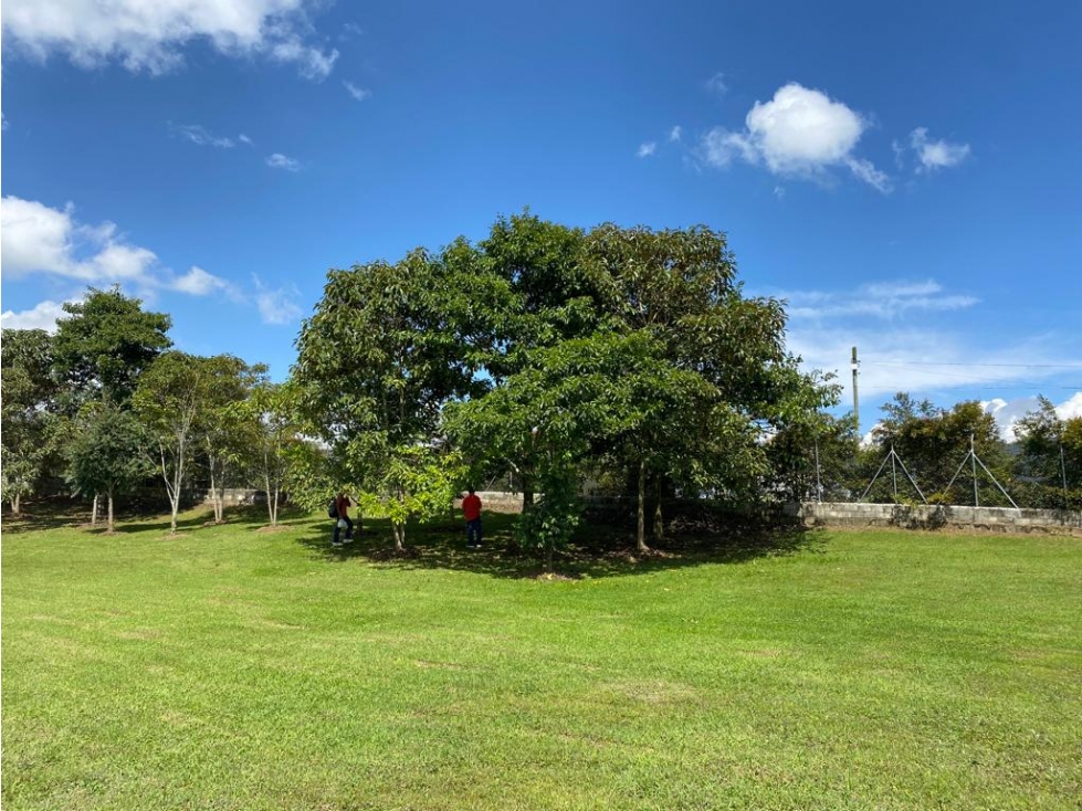 Venta de lote en exclusiva parcelación de La Ceja Antioquia — foto 5