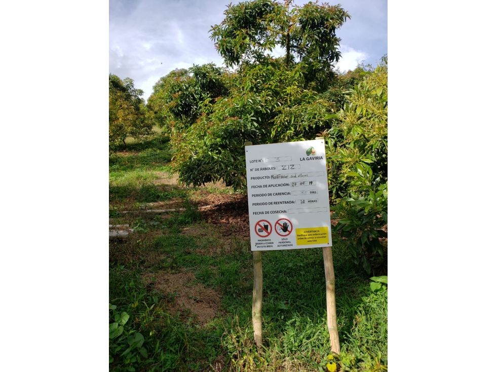 Venta de finca en Marinilla Antioquia — foto 6