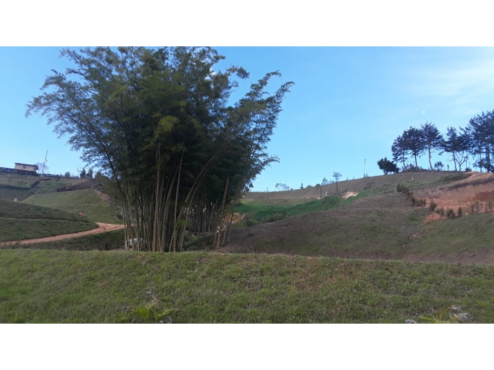 Venta de lote en parcelación de San Antonio de Pereira — foto 3