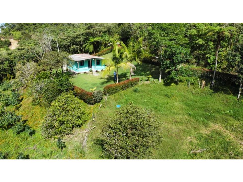 Venta de finca en Marinilla, Antioquia — foto 2