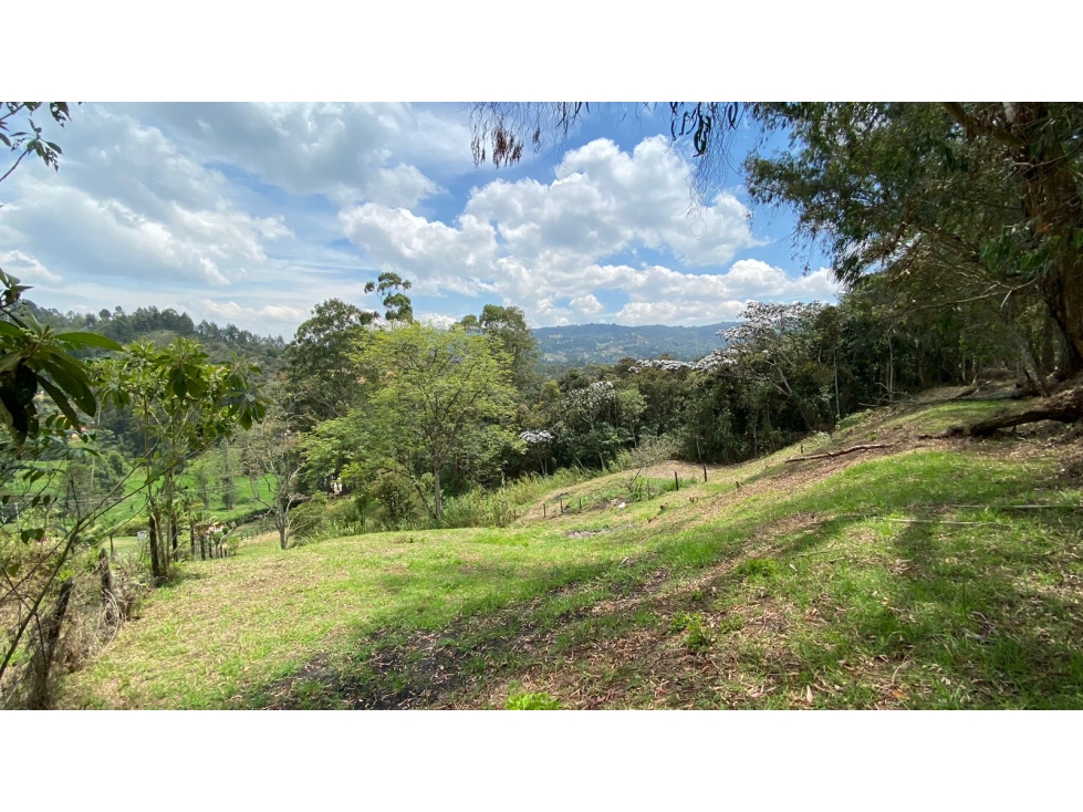 Venta de lote en Guarne Antioquia — foto 6