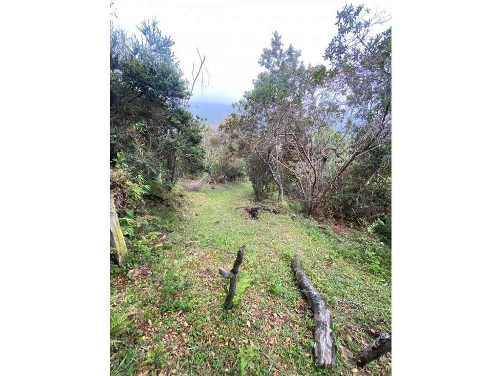 Venta de lote en Guarne Antioquia — foto 6