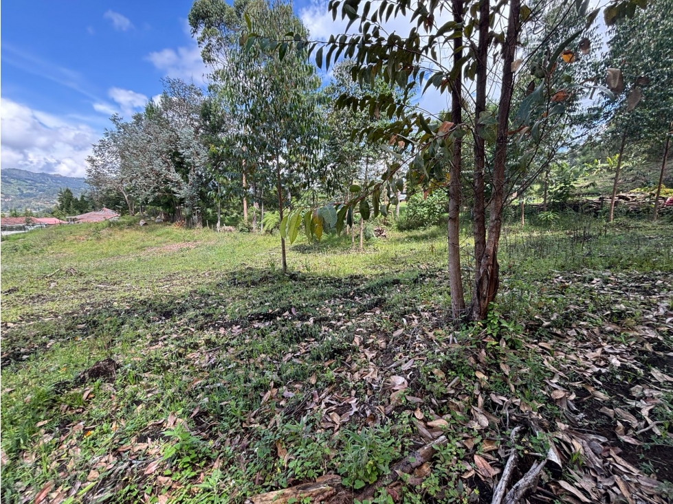 Venta de lote en Guarne Antioquia — foto 6