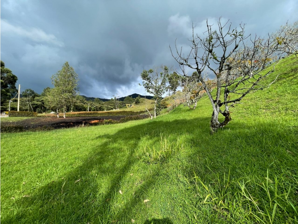Venta de hermoso lote vía san antonio la ceja vereda el Yarumo — foto 6