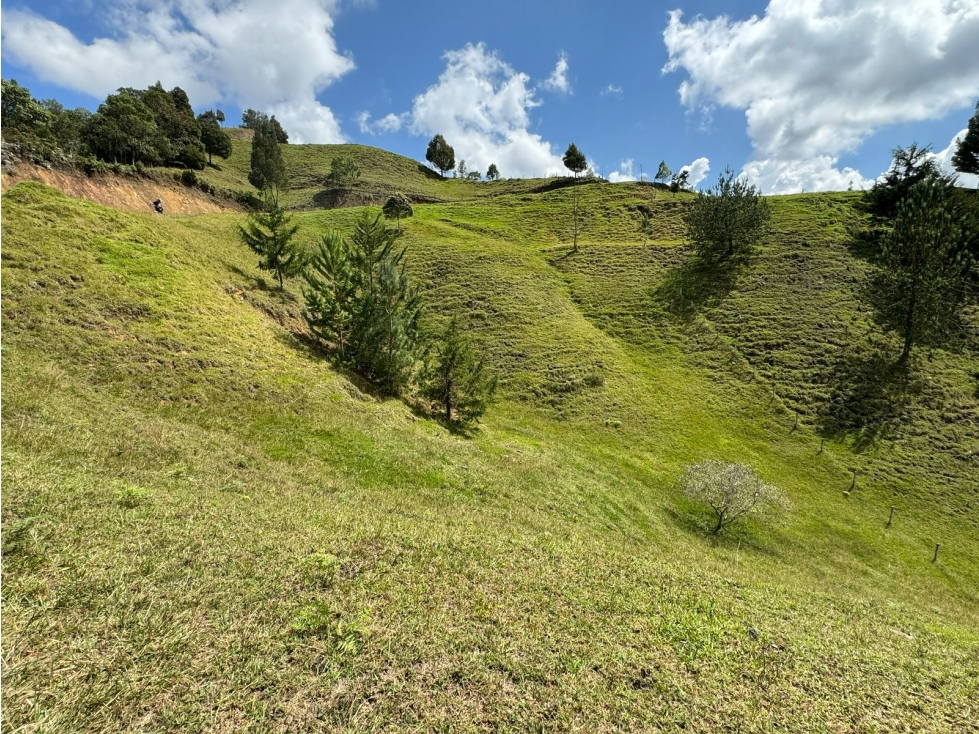 Venta de lote en el Retiro-Antioquia. Parcelación, Reserva del retiro — foto 6