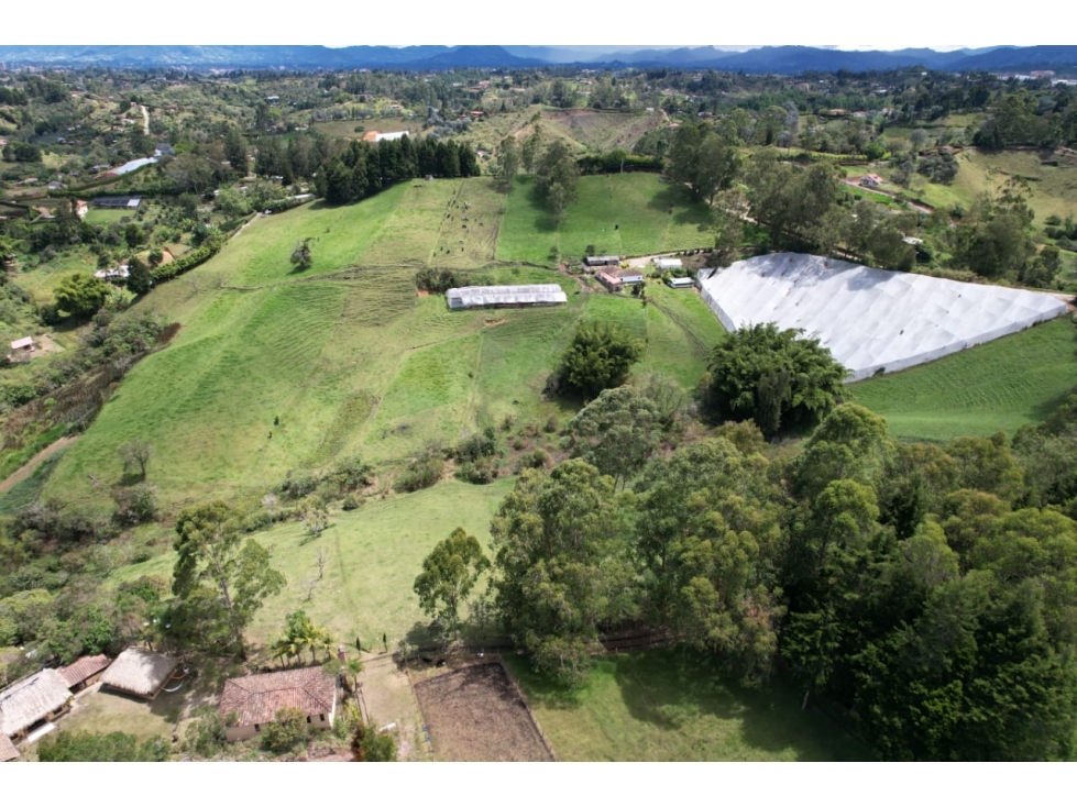 Venta de finca en Rionegro Antioquia