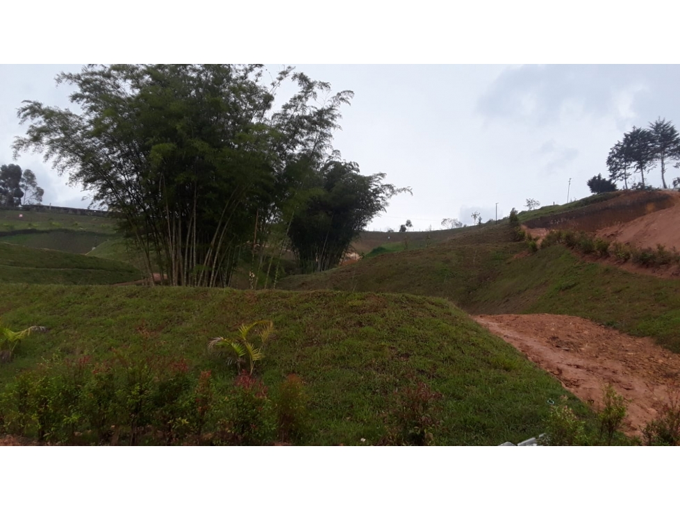Venta de lote en parcelación de San Antonio de Pereira — foto 6