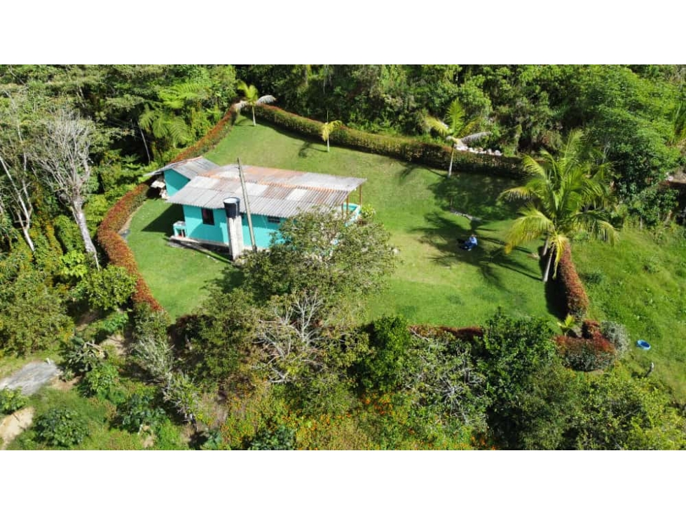 Venta de finca en Marinilla, Antioquia — foto 3