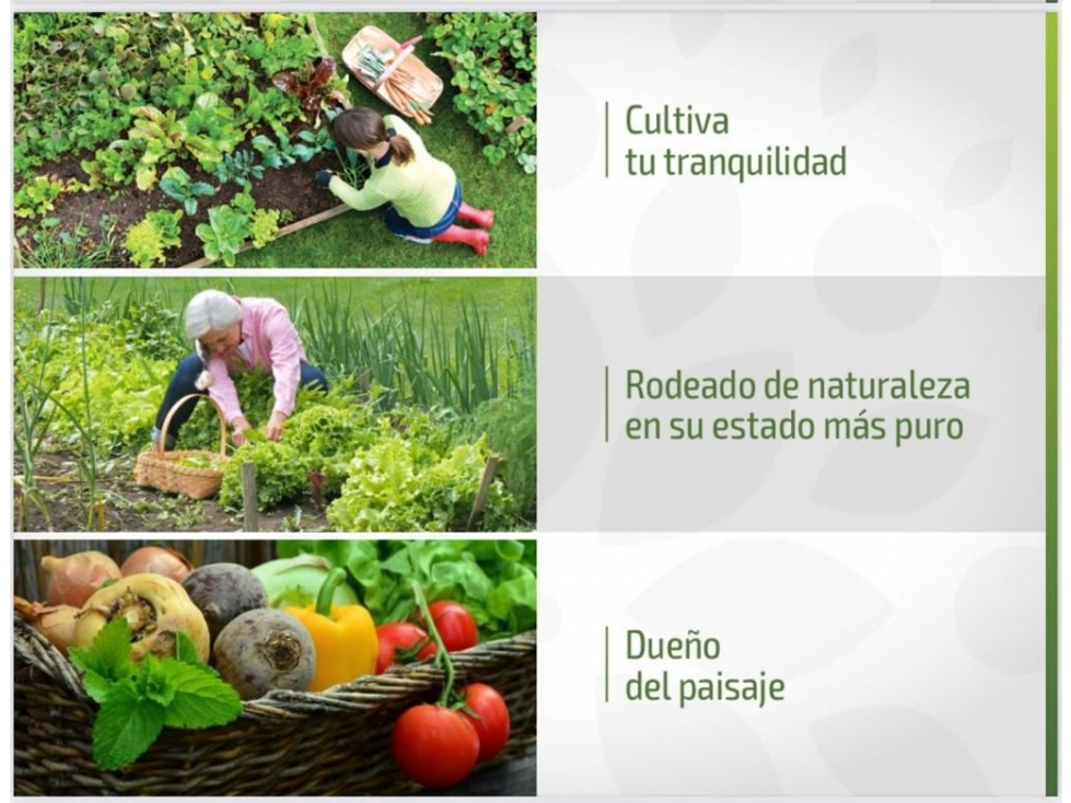 Venta de lotes en Guarne Antioquia — foto 5