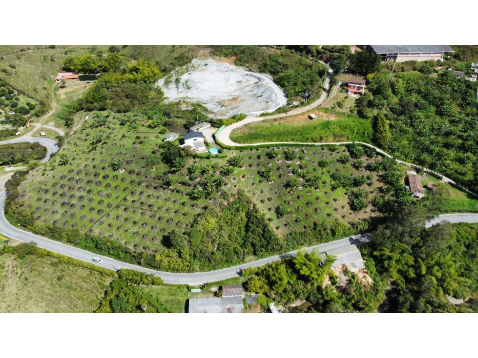 Venta de finca aguacatera en Marinilla Antioquia — foto 3