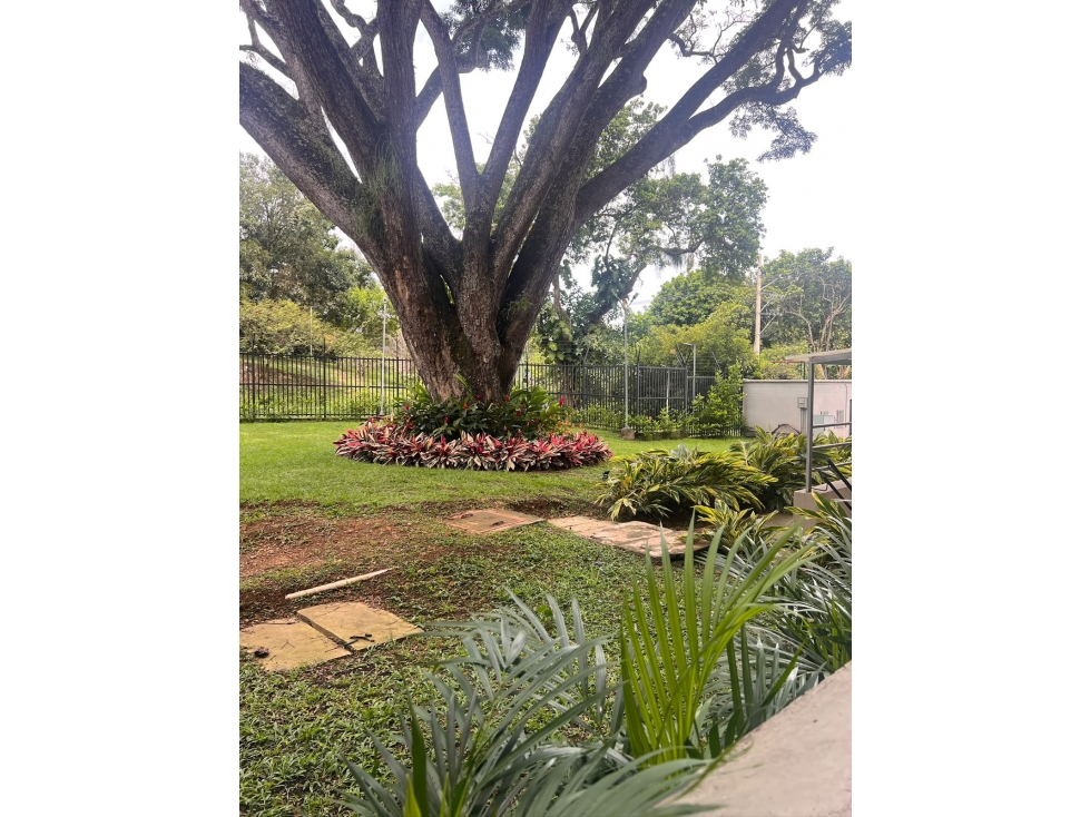 APARTAMENTO EN PRIMER PISO CON TERRAZA — foto 3