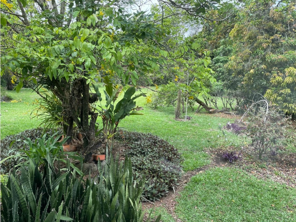 CASA INDEPENDIENTE EN PANCE CON PISCINA Y RODEADA DE VERDE — foto 3