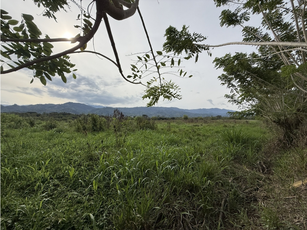 LOTE EN VENTA, VITERBO CALDAS - 5