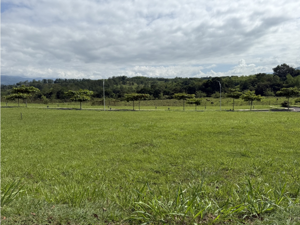 LOTE EN VENTA CONDOMINIO CAMPESTRE, VITERBO - 2