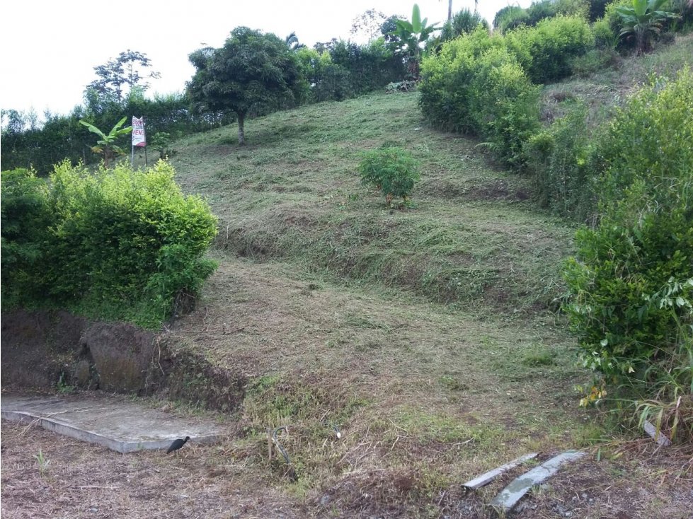 SE VENDE ESPECTACULAR LOTE — foto 2