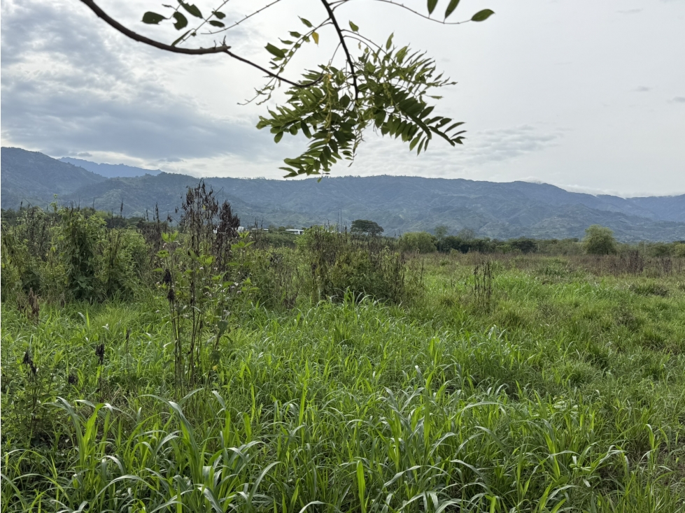 LOTE EN VENTA, VITERBO CALDAS - 4