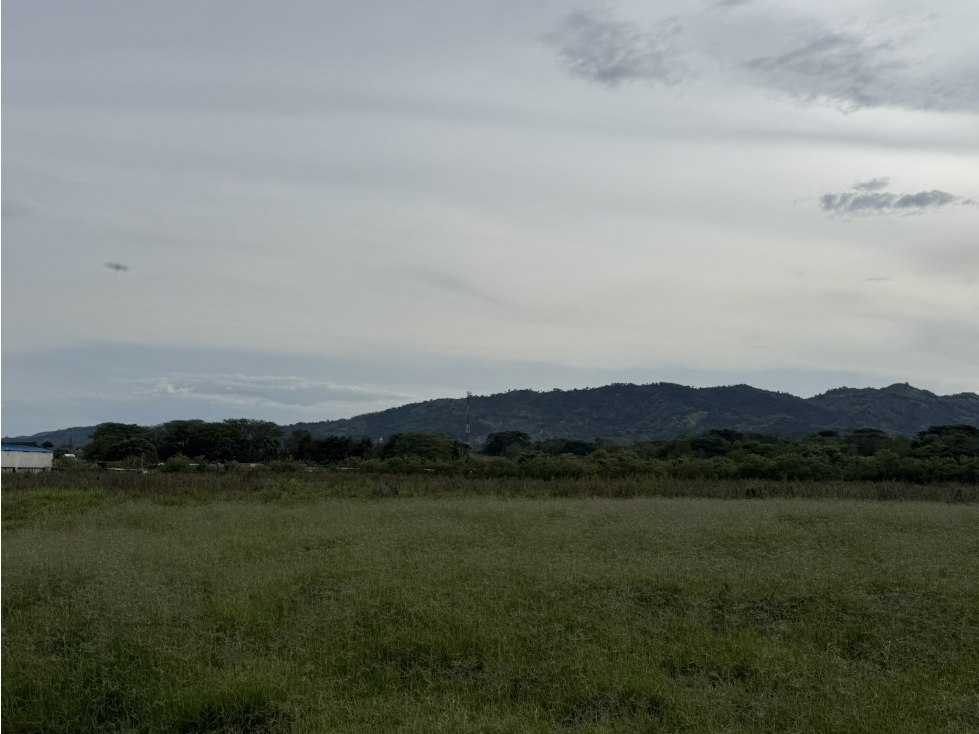 LOTE EN VENTA, VITERBO CALDAS - 2